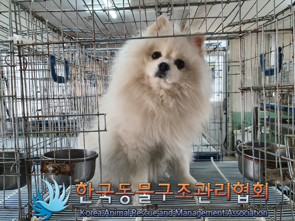 서울-금천-2023-00041 _ 썸네일